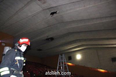 آتشسوزی در سینما ۲۲ بهمن رشت