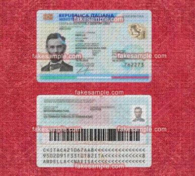 Innovators in Fake Identity Cards