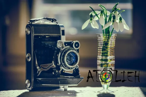 کلید خلق تصاویر با تأثیر و بیان هنری