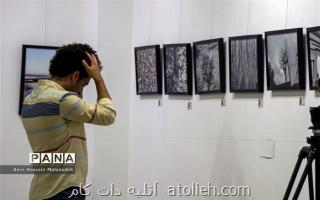 برگزاری نمایشگاه عکس و پرفرمنس سرگیجگی