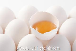تخم مرغ خوراکی در شهرهای آذربایجان غربی