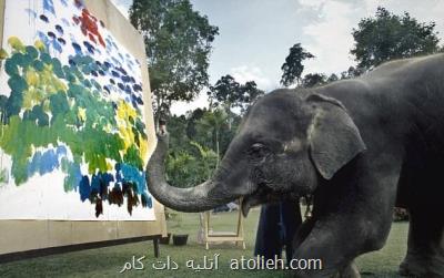 فیل هایی كه نقاشی می كشند!